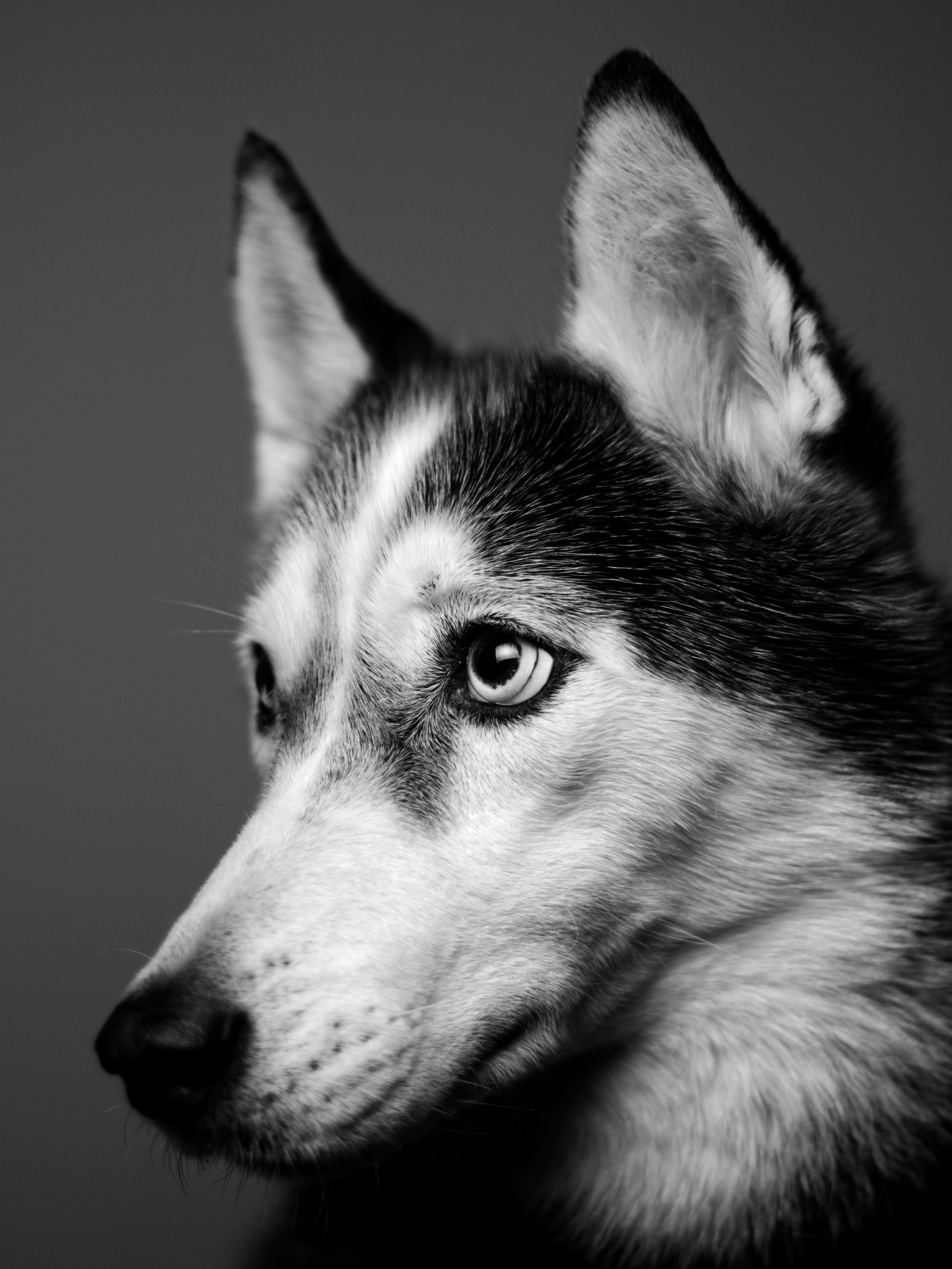 caine (1)