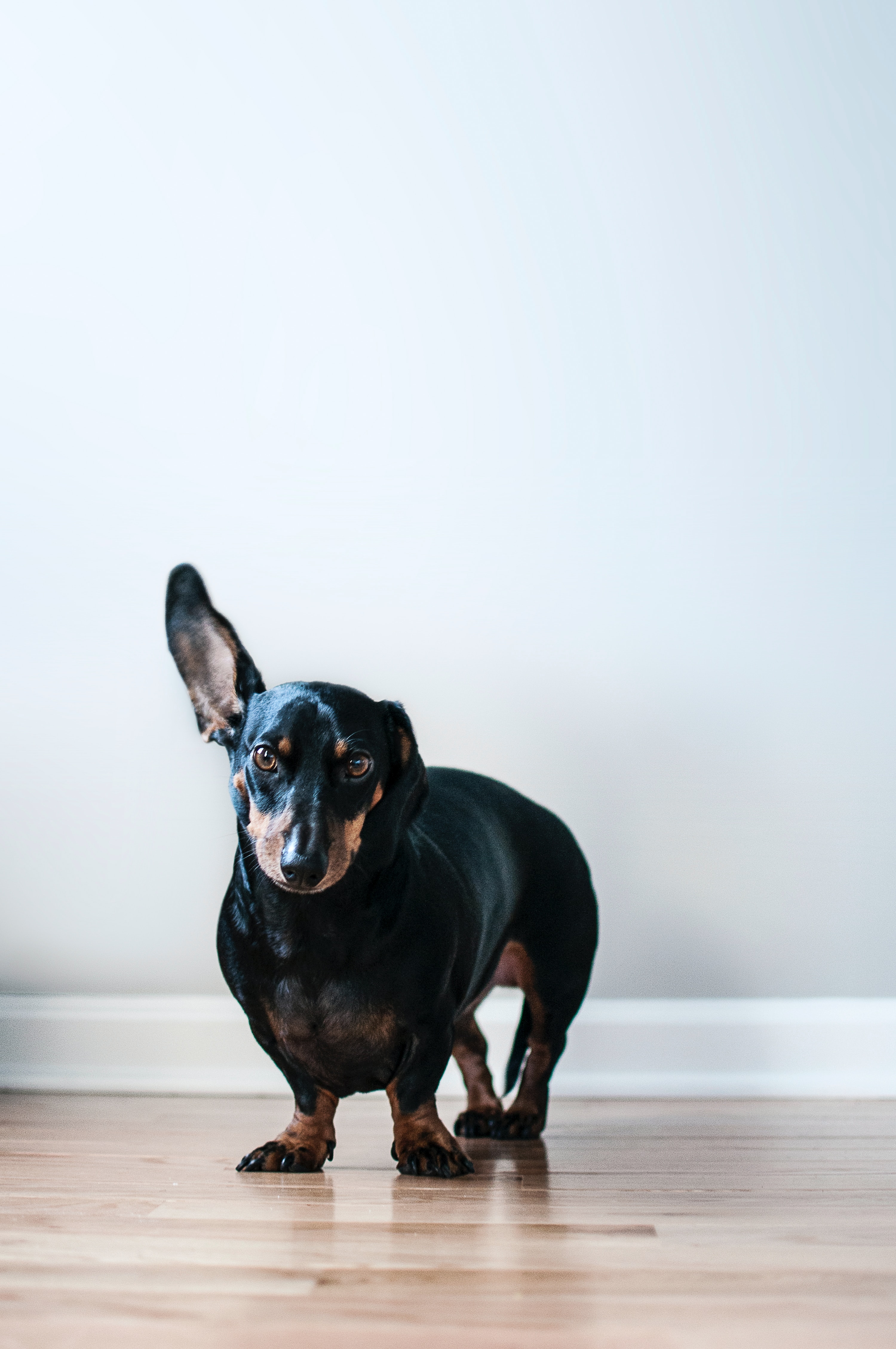 caine (21)