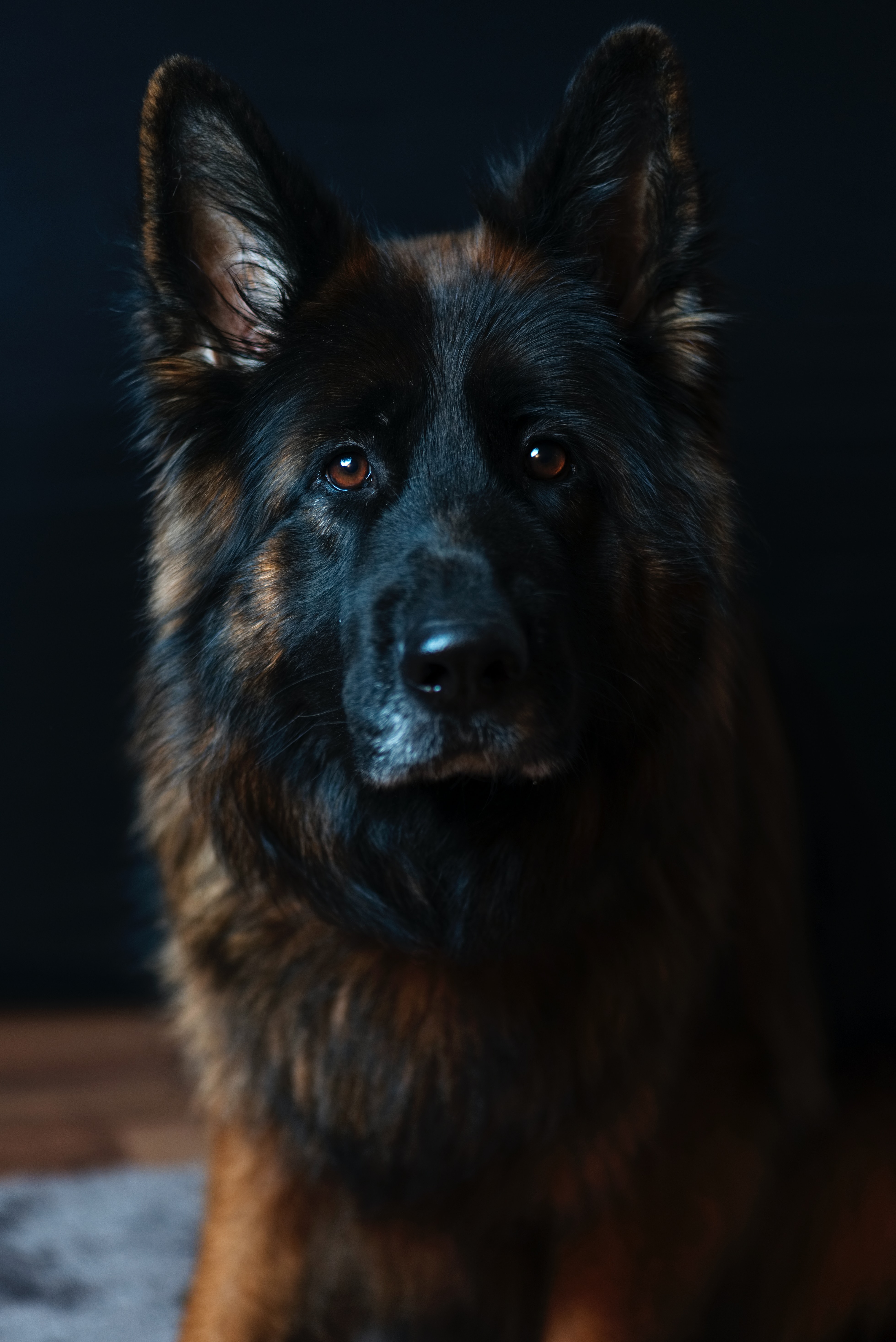 caine (56)