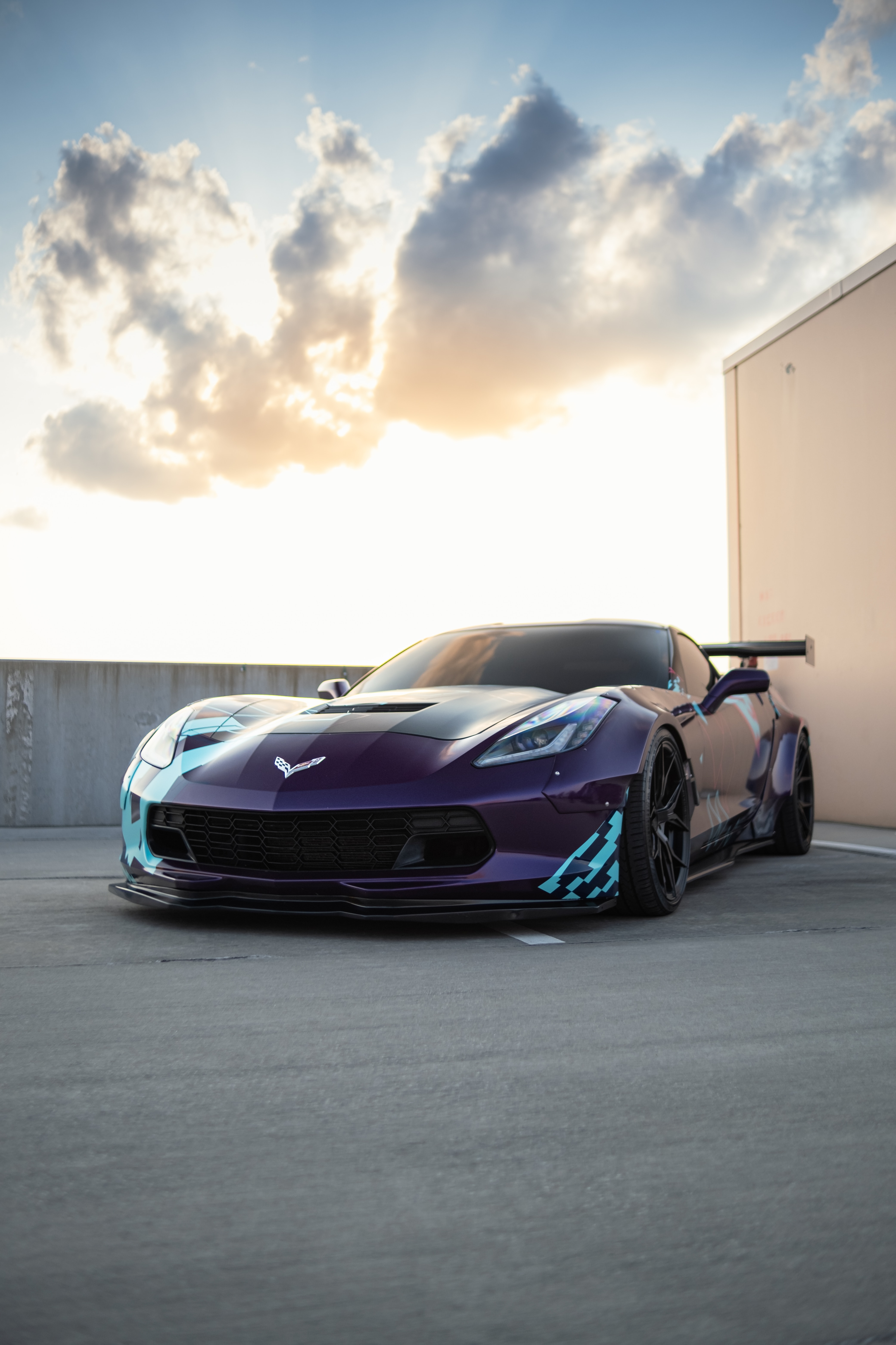Cars (19)