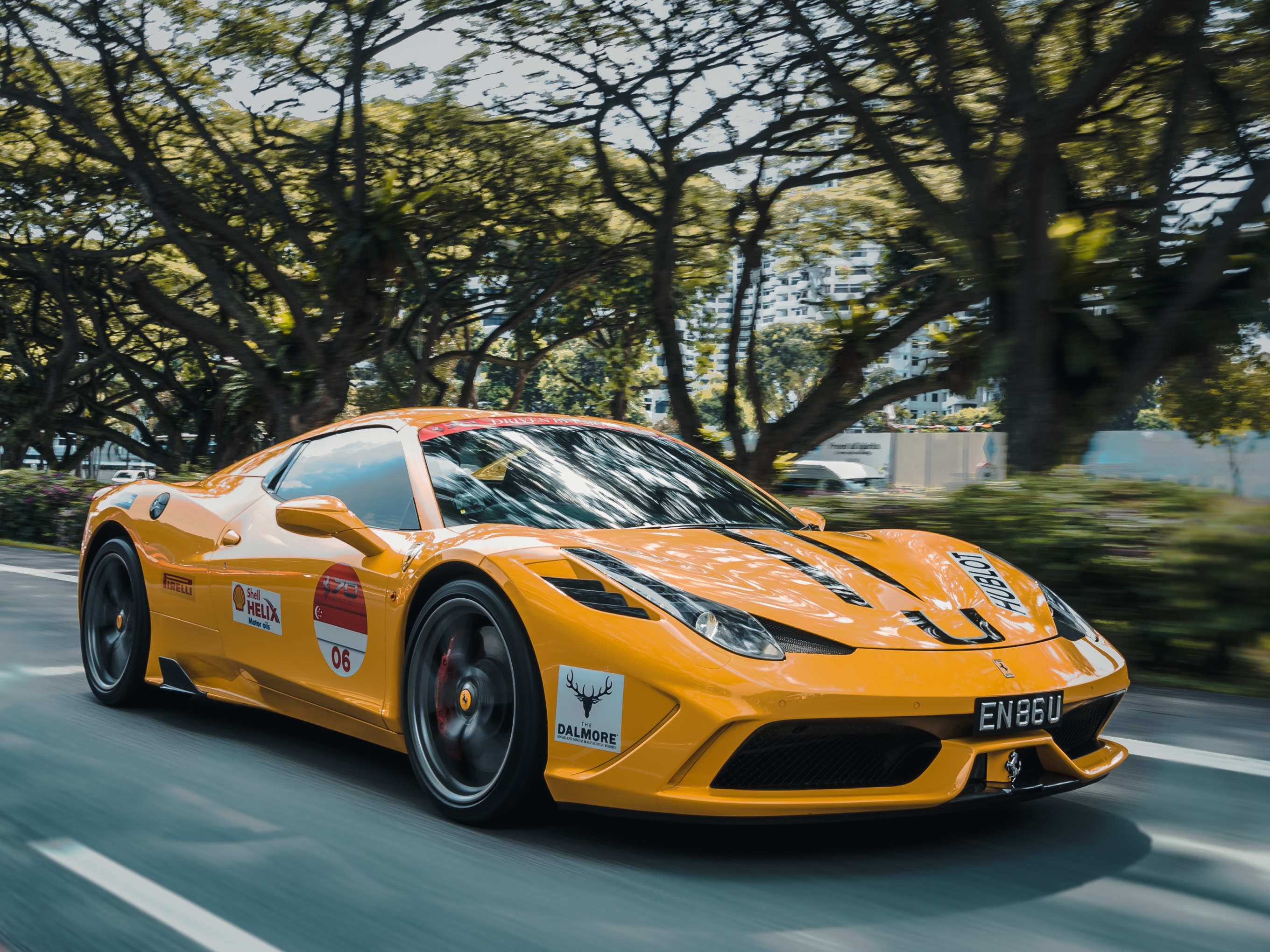 Cars (20)