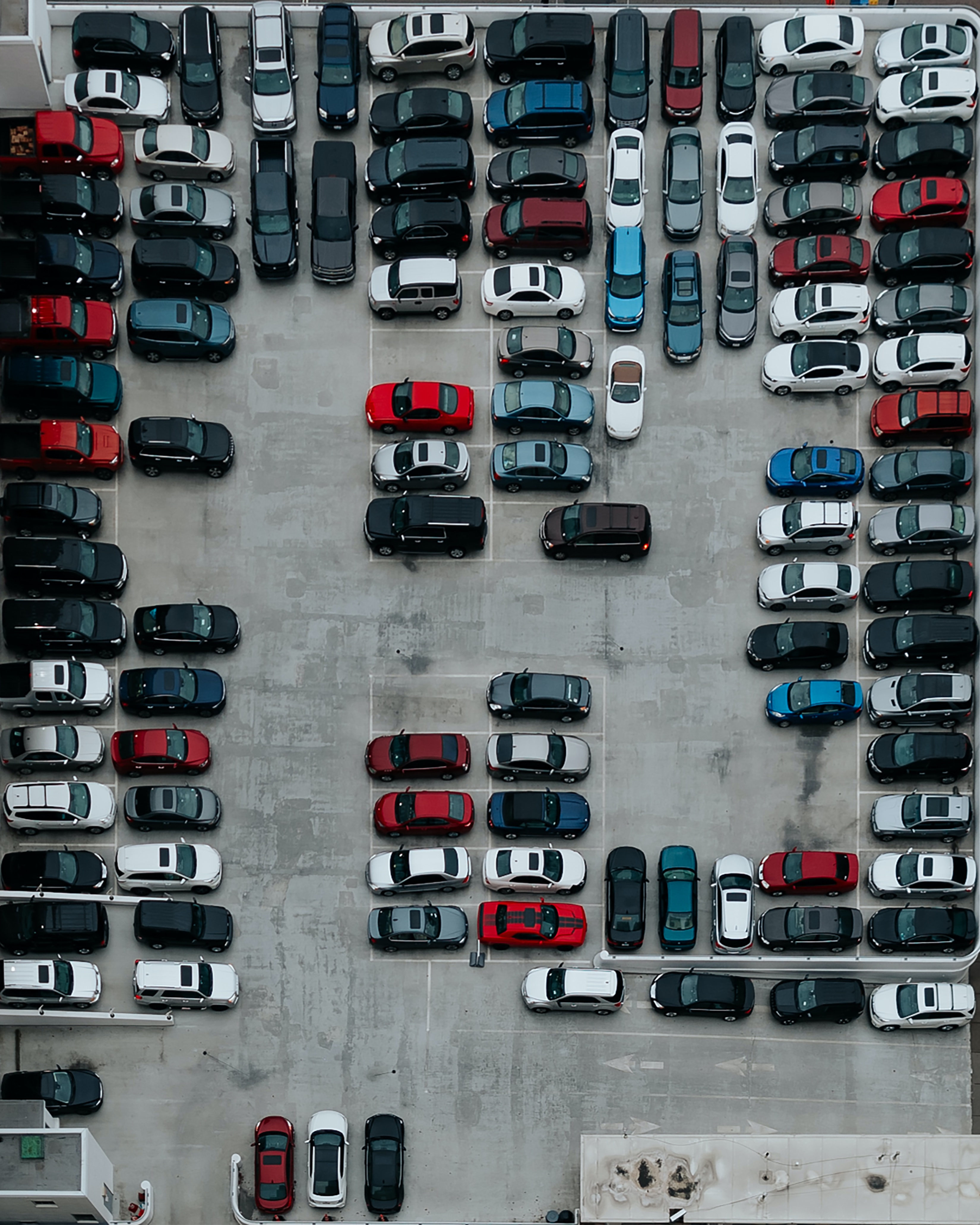 Cars (25)
