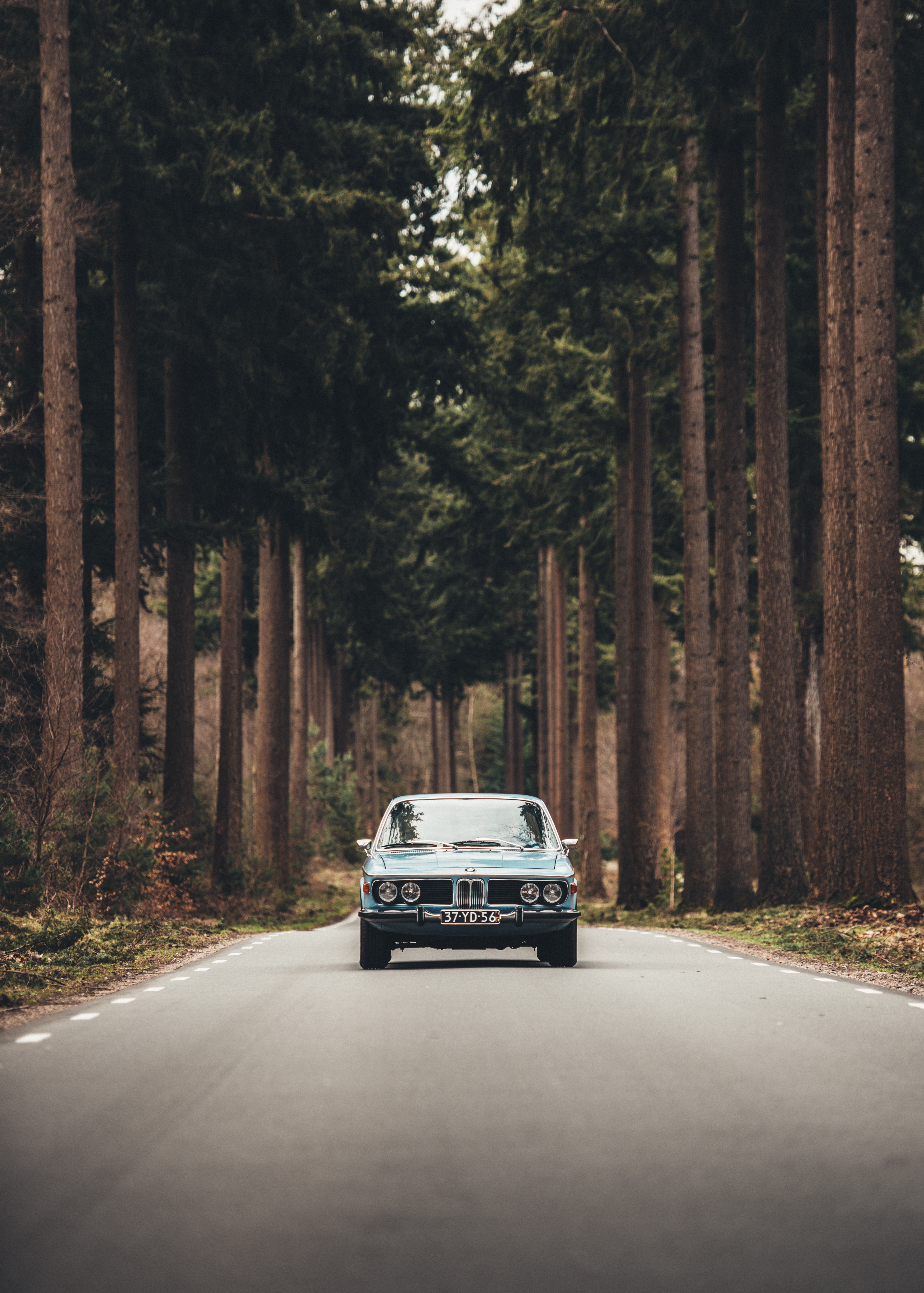 Cars (27)