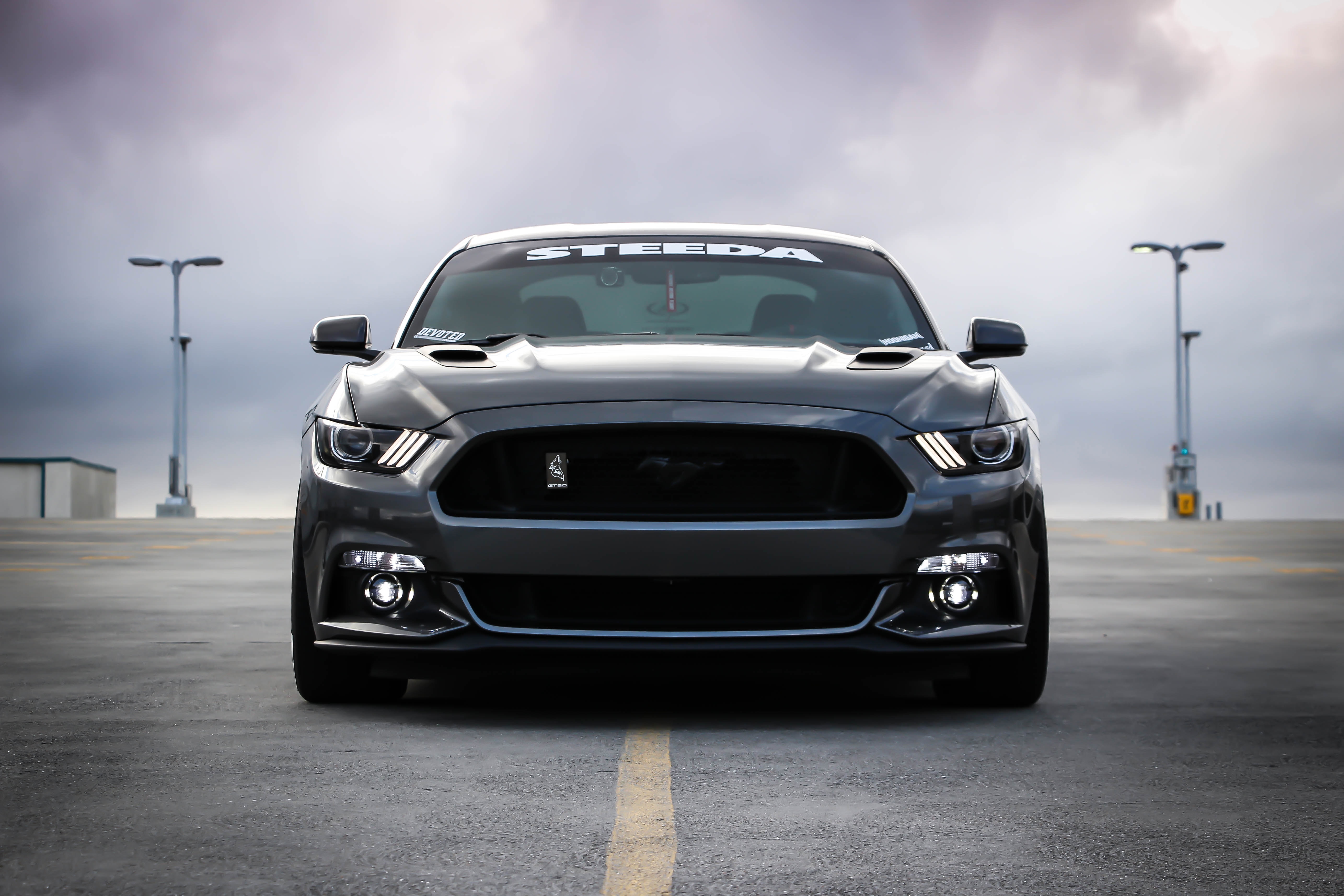 Cars (28)
