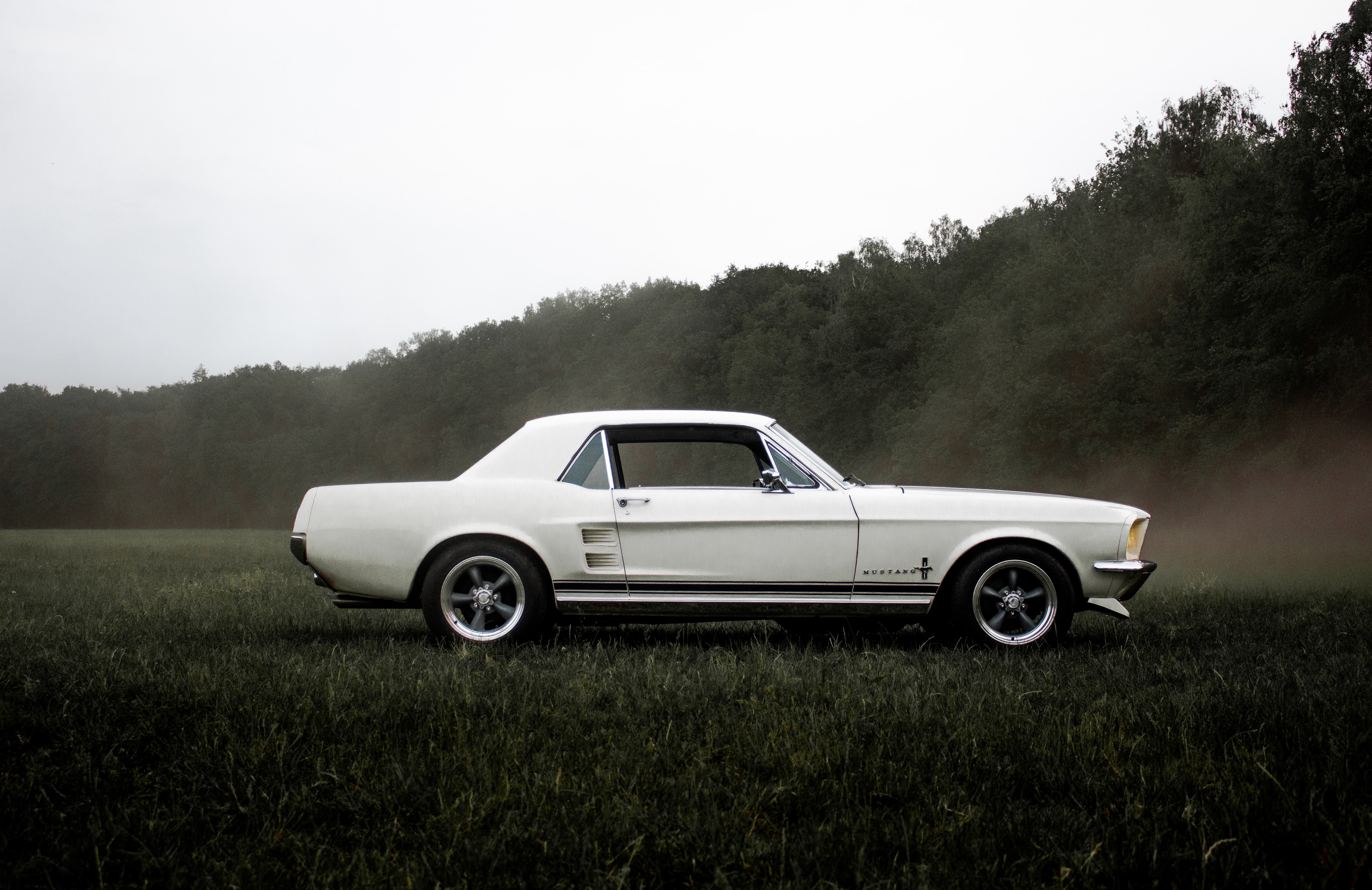 Cars (30)