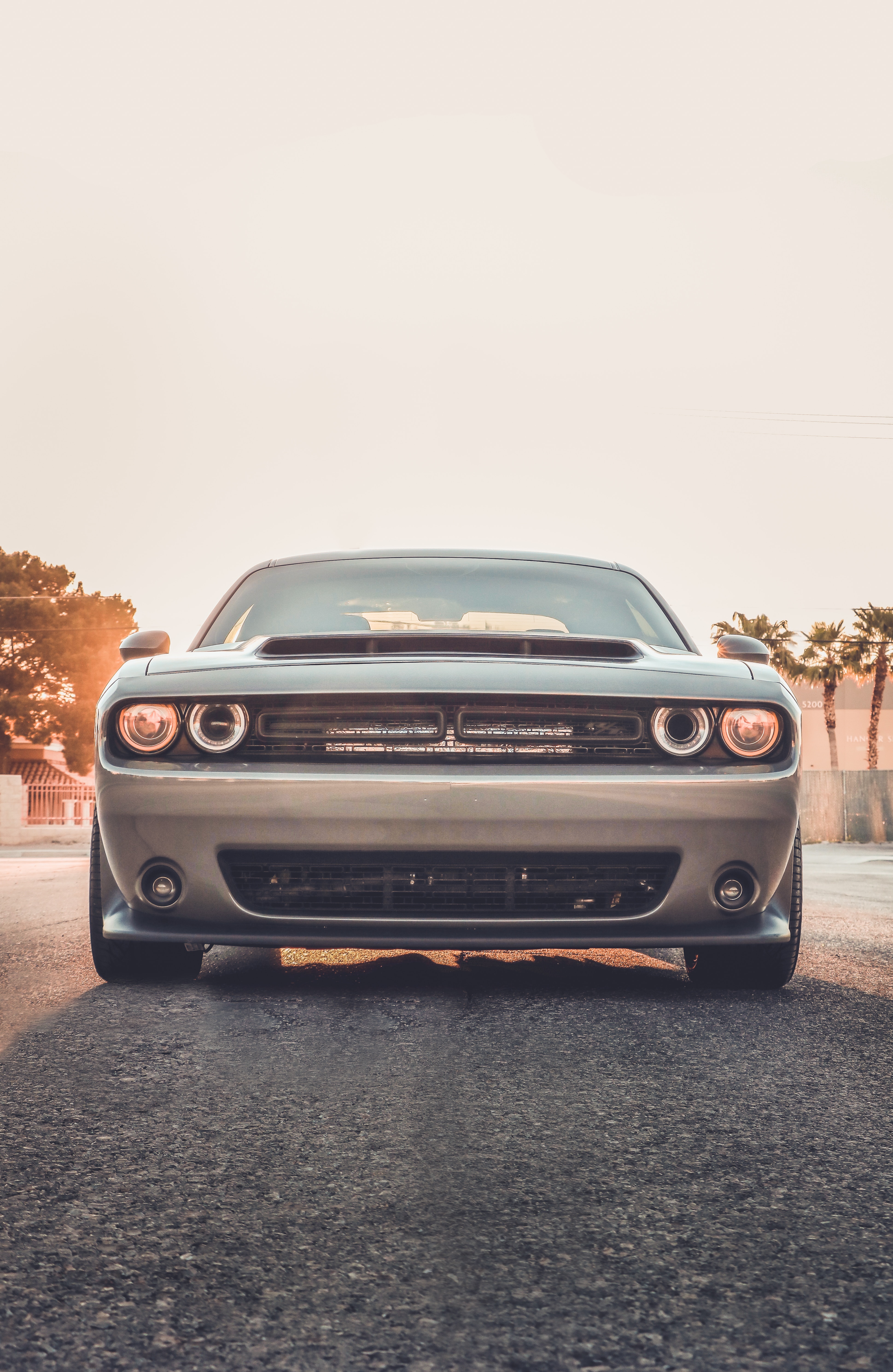 Cars (37)