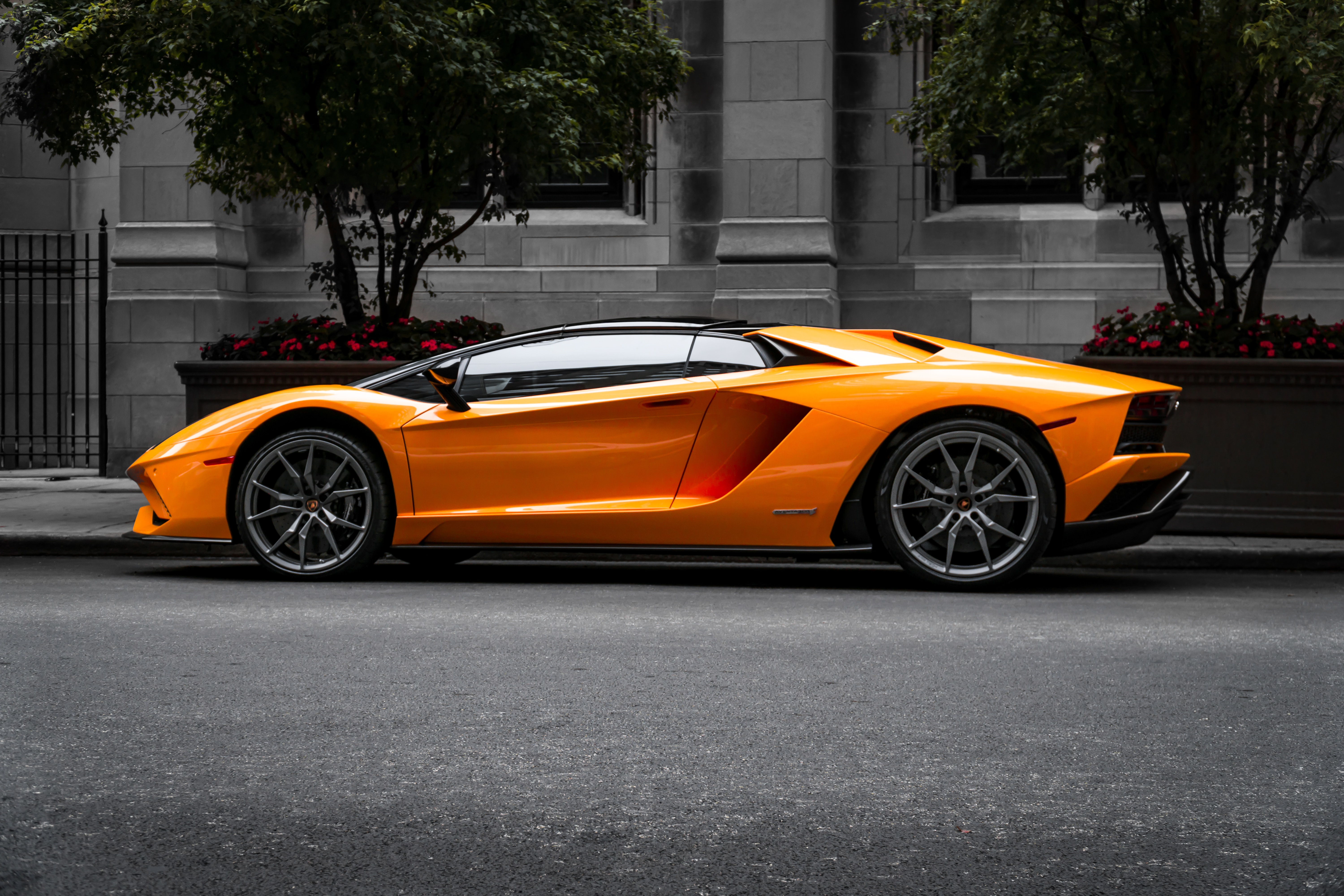 Cars (38)