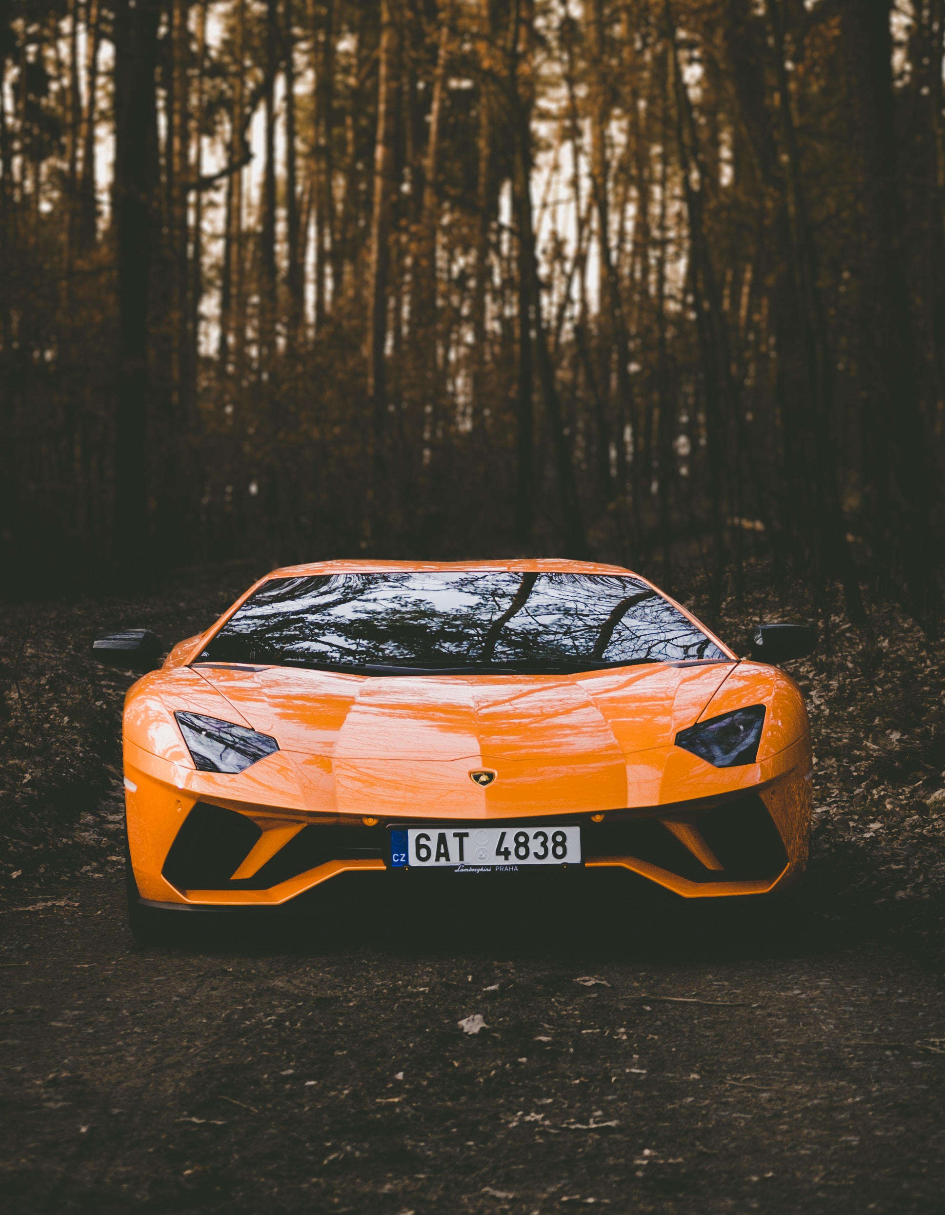 Cars (41)