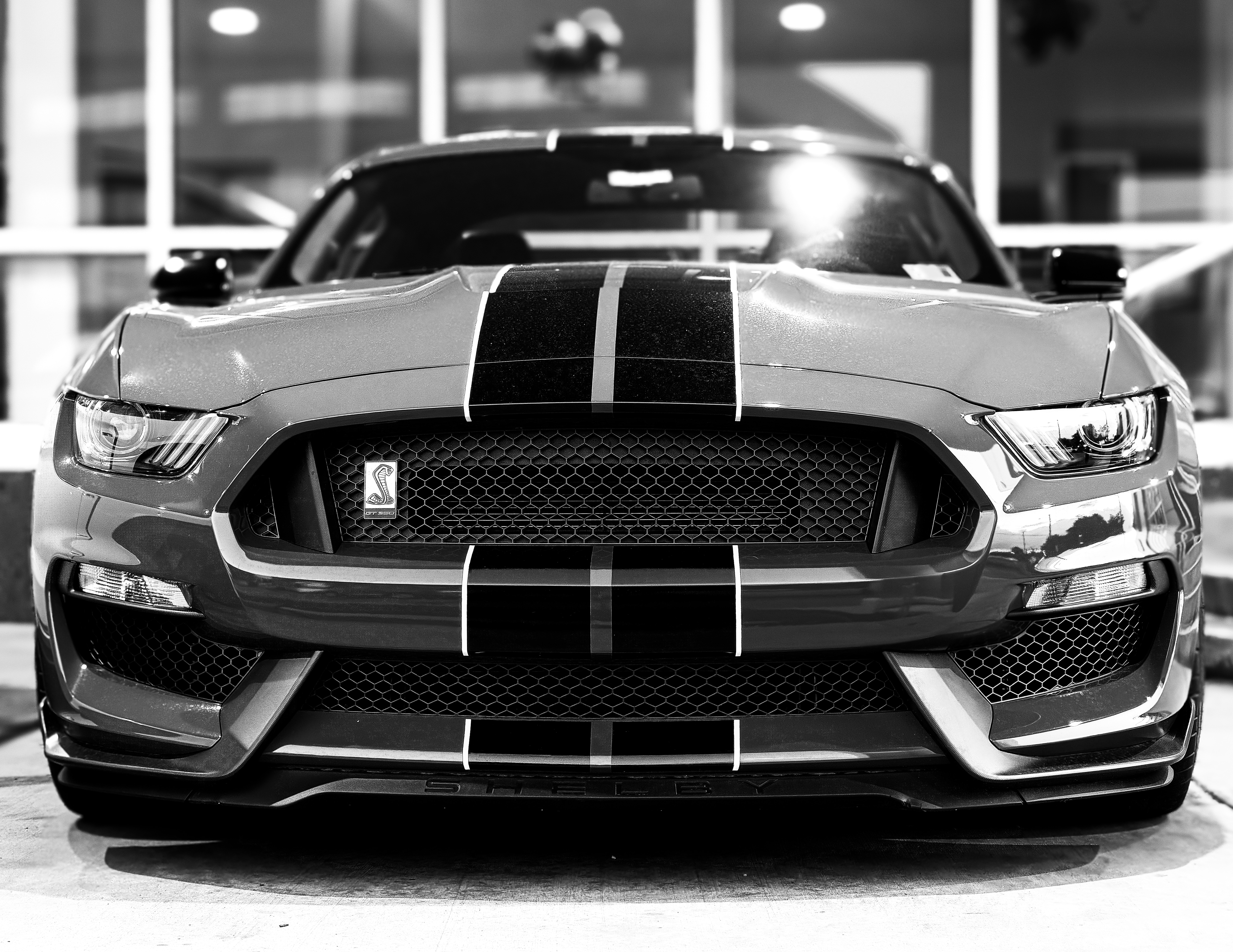Cars (48)
