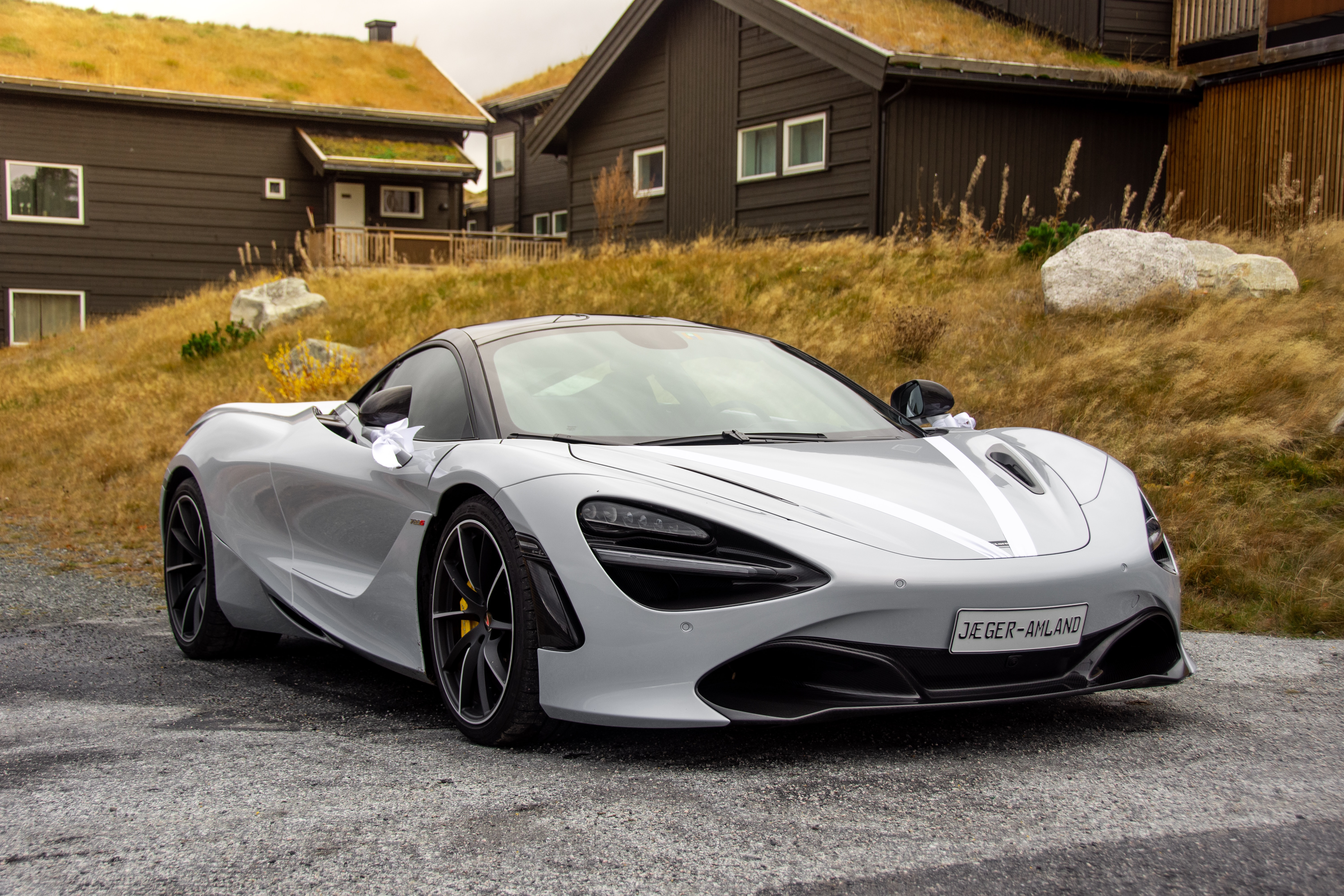 Cars (49)