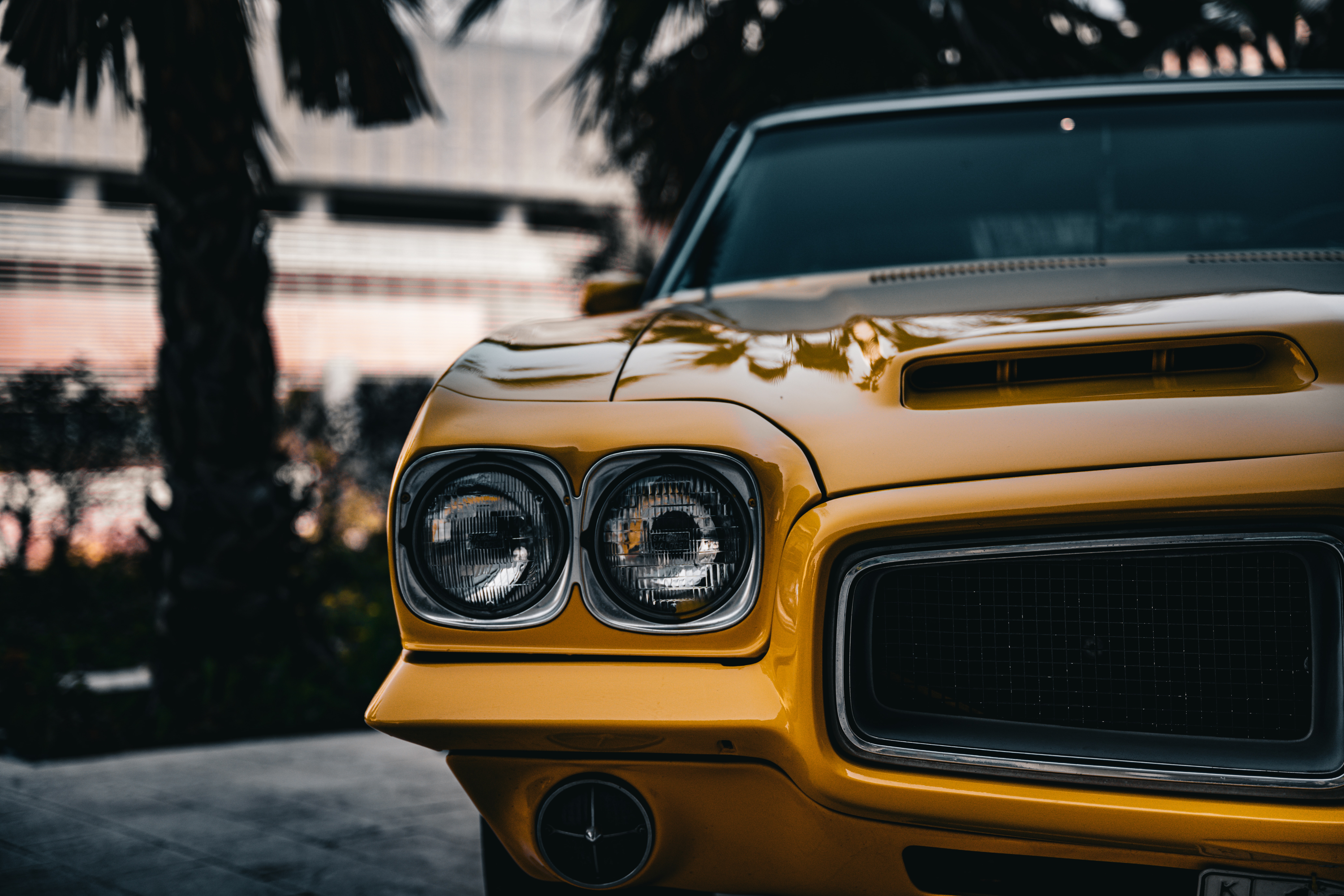 Cars (50)