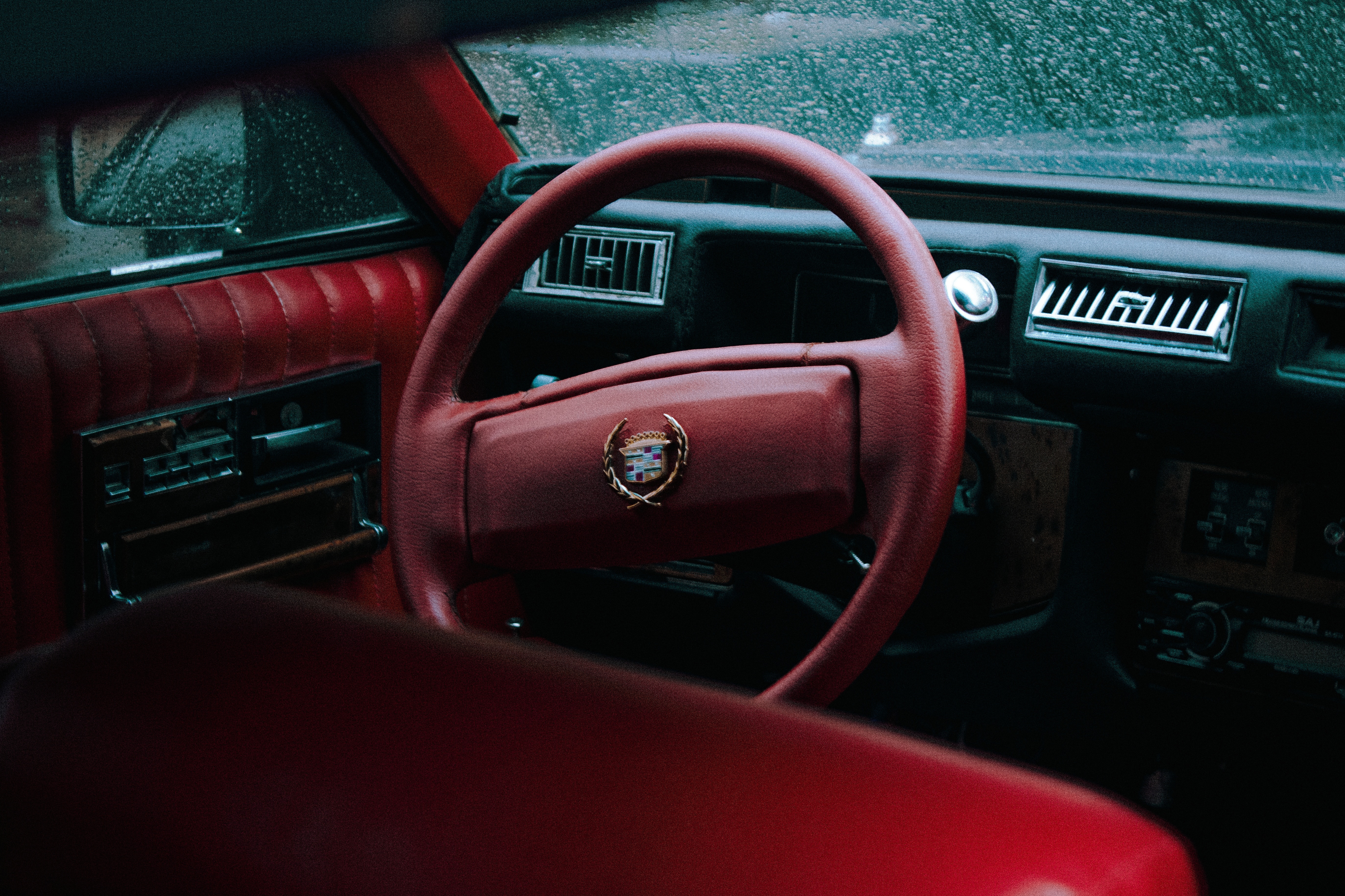 Cars (51)