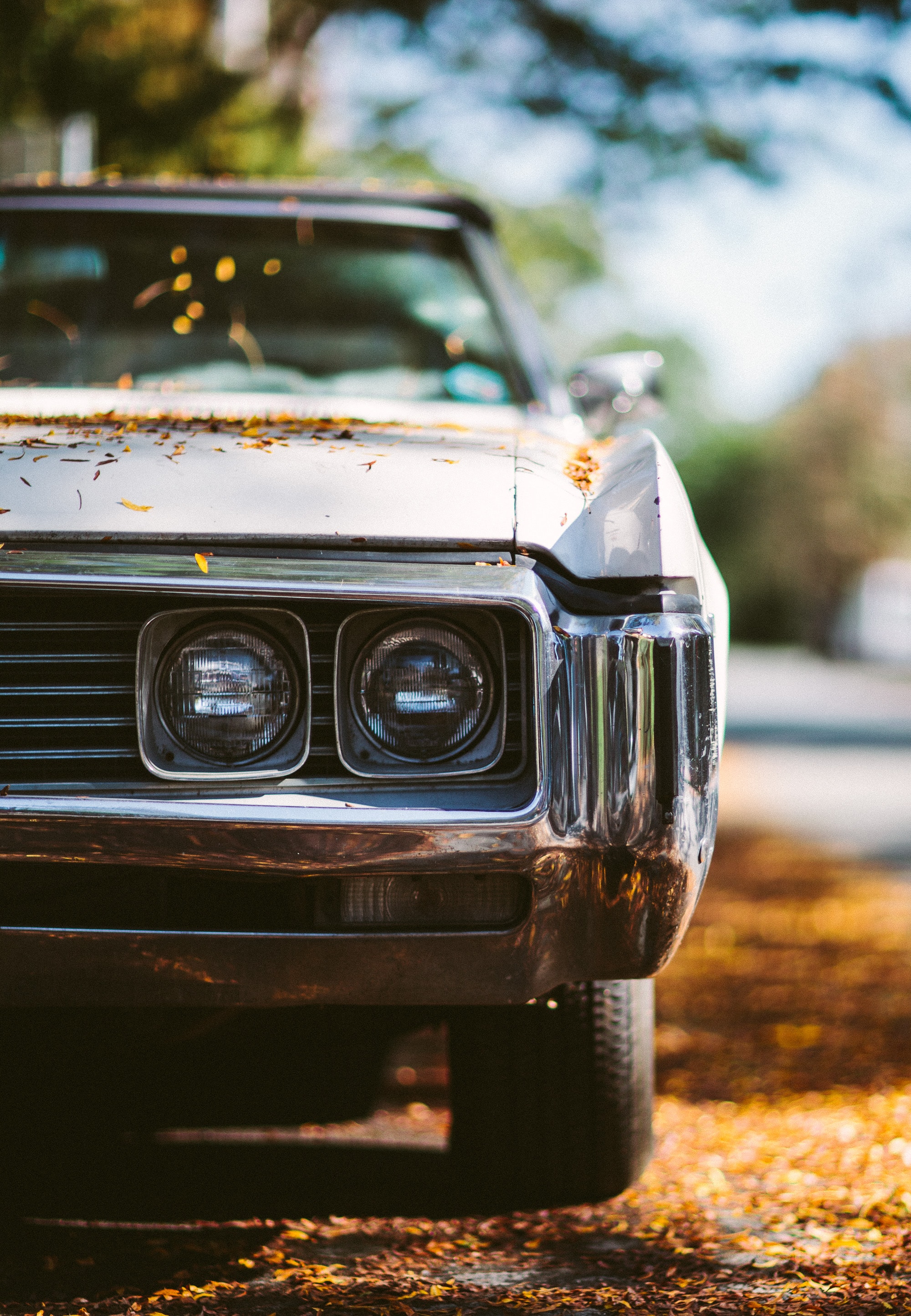 Cars (54)
