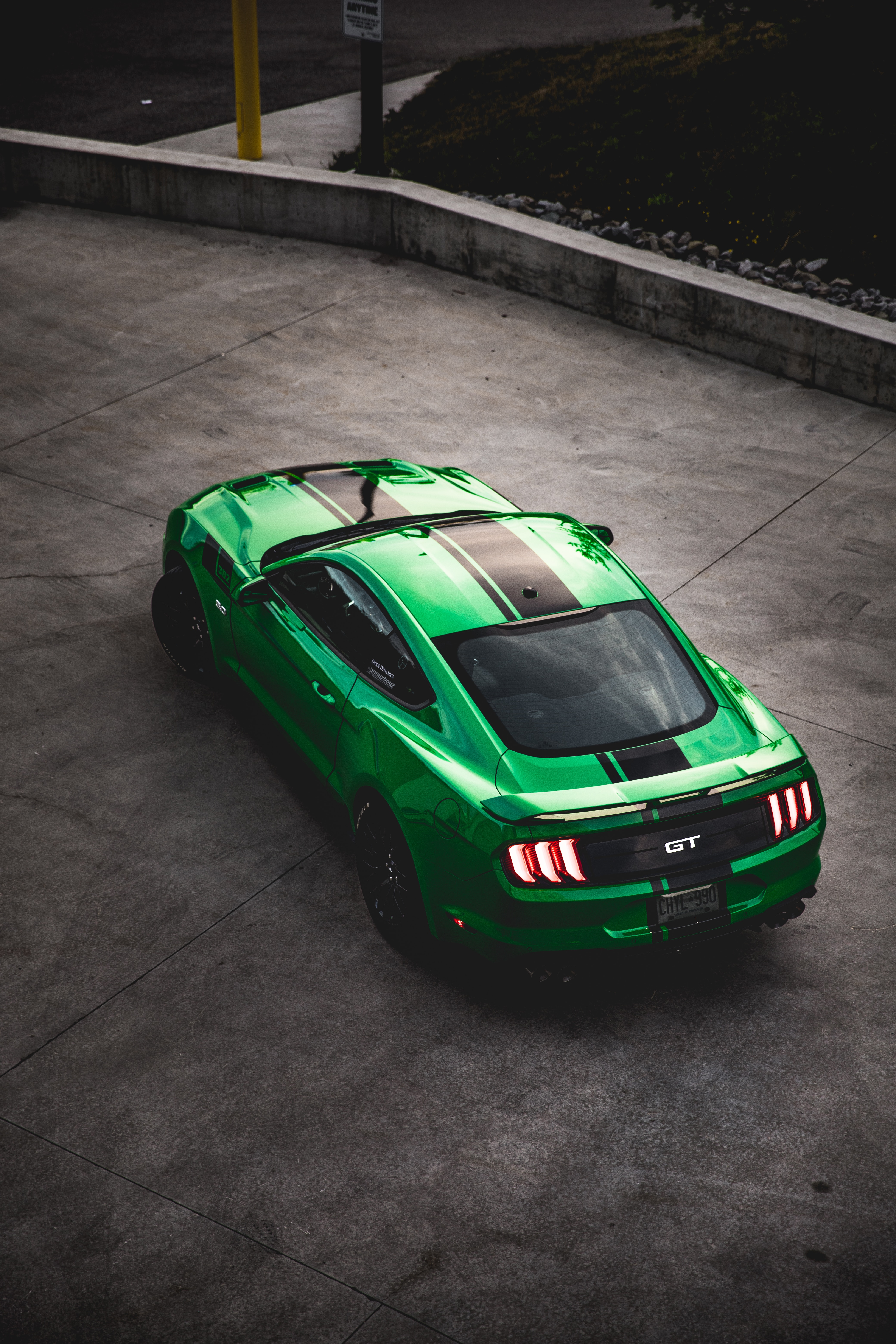Cars (65)