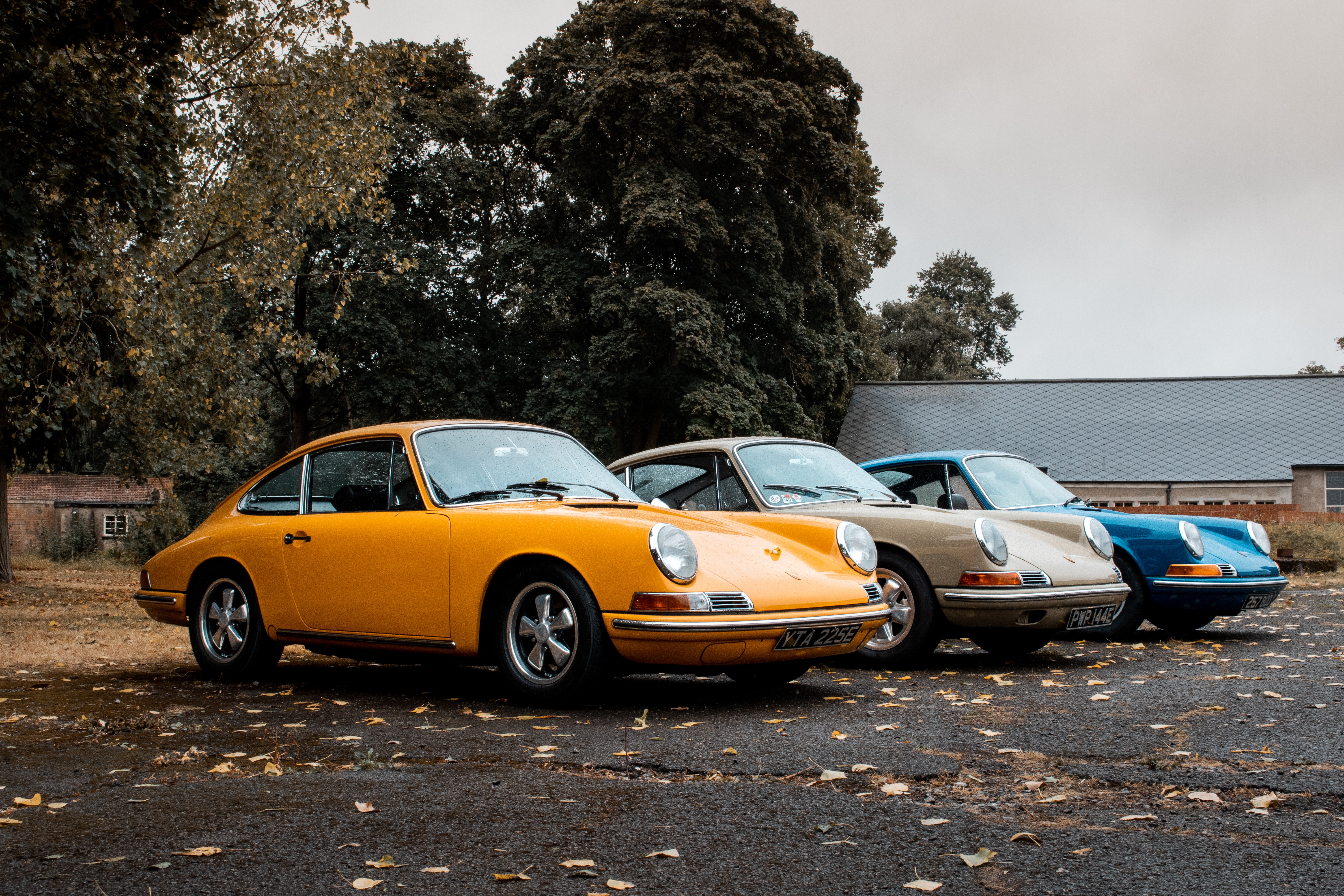 Cars (69)