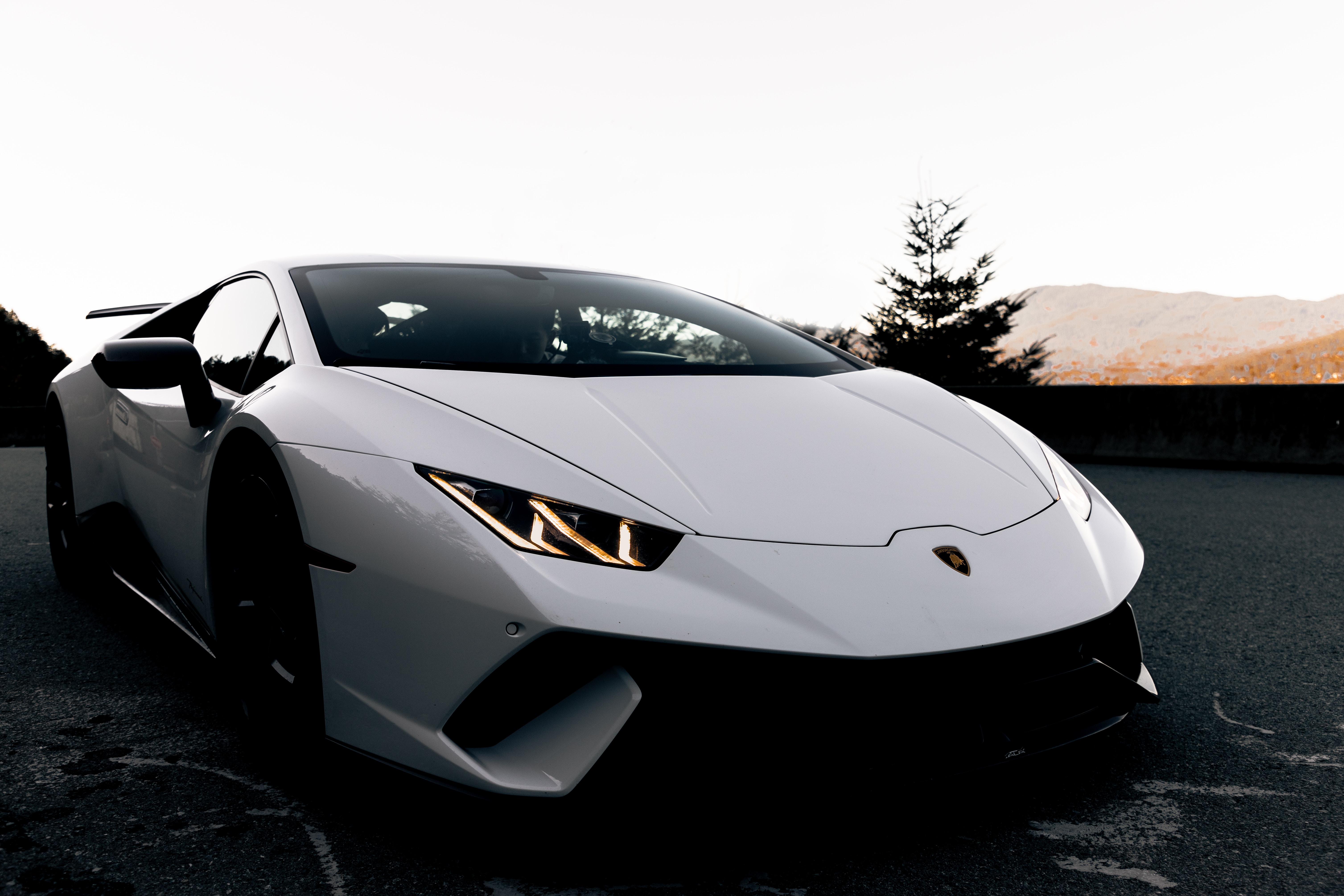 Cars (8)