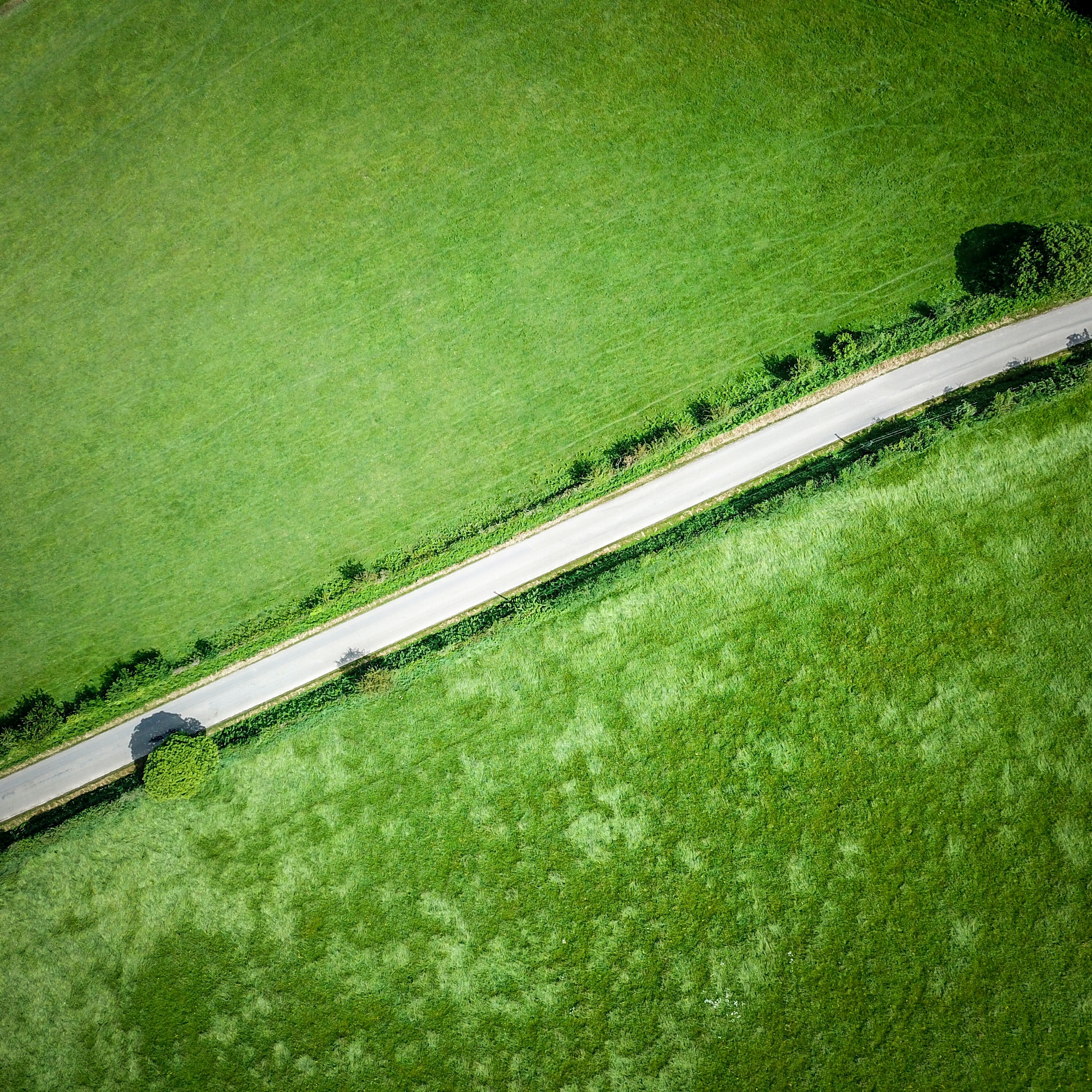 natura (57)